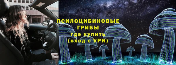 прущая мука Вяземский