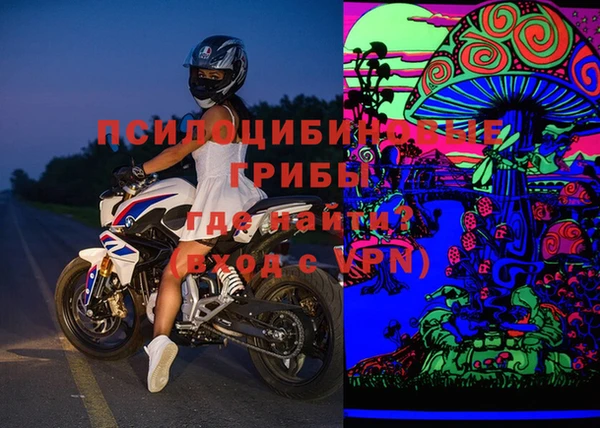прущая мука Вяземский