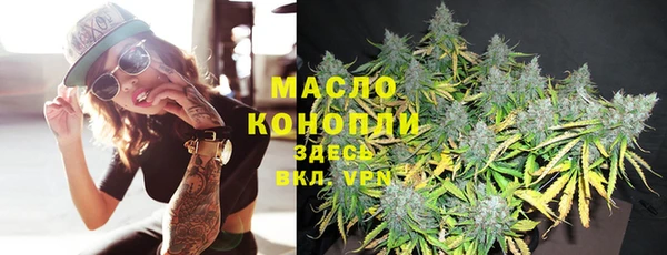 прущая мука Вяземский