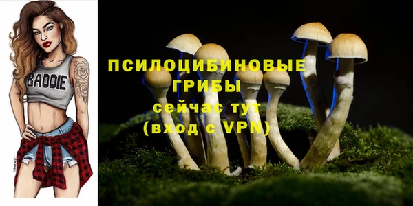 амфетамин Вязьма